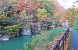 小原渓谷（碧玉渓）の紅葉写真